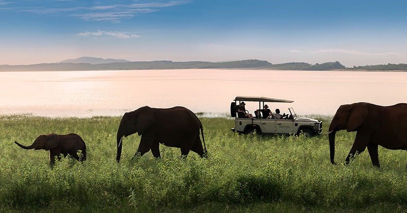 Bumi-Hills-Lake-Kariba-Zimbabwe-African-Bush-Camps--Banks-of-Lake-Kariba-elephants(30)-1