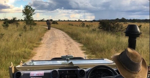 Game drive_ elephant- Hand sanitizer Covid-19 Health Procedures & Medical Evacuations - African Bush Camps Safari 10 Reasons Why Africa Should be First on Your Travel List Post-quarantine outdoor activities