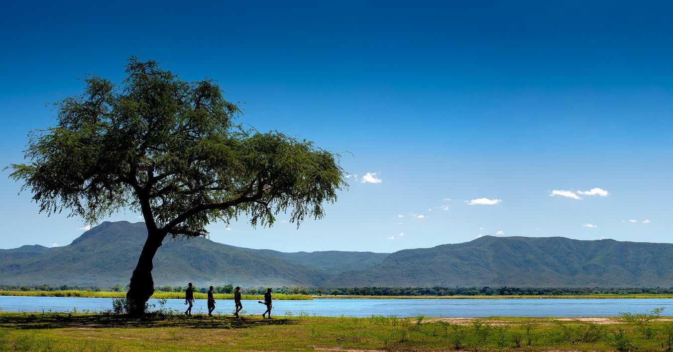 Walk_Pano1-NYAMATUSI-AFRICAN-BUSH-CAMPS